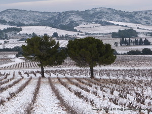 Tavel sous la neige!